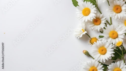 Daisy Flower Decoration on a White Background, Perfect for Wedding Design. Generative AI © wellyans