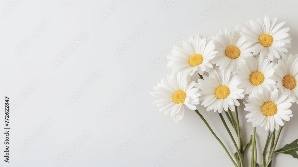 Daisy Flower Decoration on a White Background, Perfect for Wedding Design. Generative AI Daisy Flower Decoration on a White Background, Perfect for Wedding Design. Generative AI