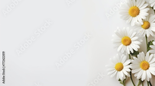 Daisy Flower Decoration on a White Background  Perfect for Wedding Design. Generative AI