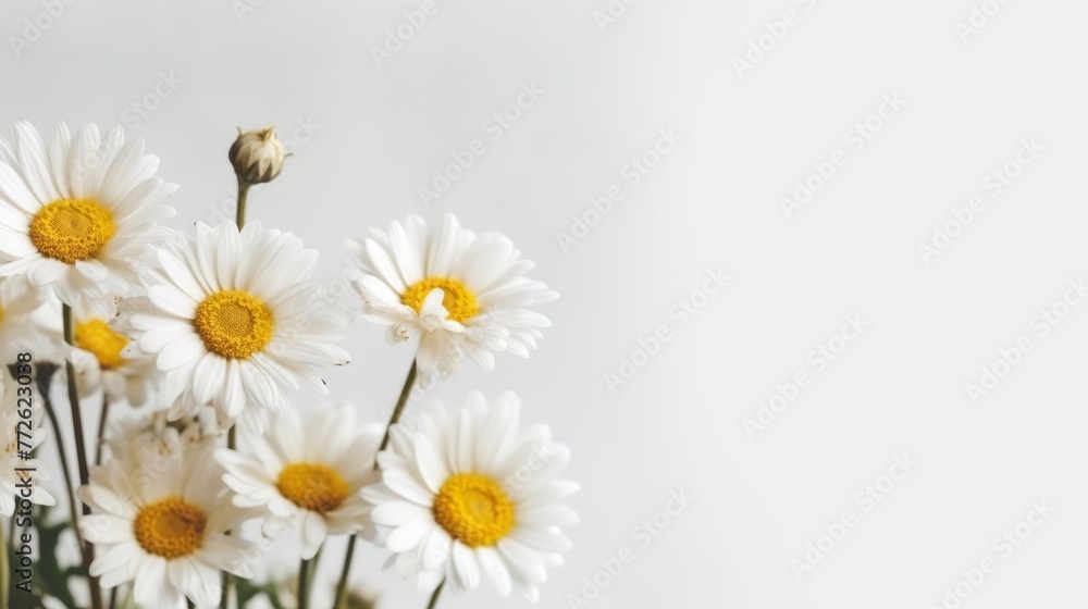Obraz premium Daisy Flower Decoration on a White Background, Perfect for Wedding Design. Generative AI