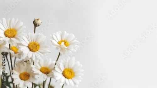 Daisy Flower Decoration on a White Background, Perfect for Wedding Design. Generative AI