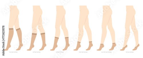 Set of stocking hosiery Invisible, low cut, ankle, crew, mid calf, knee high, over knee length hose. Fashion accessory clothing technical illustration. Vector side view for Men, women, flat sketch photo