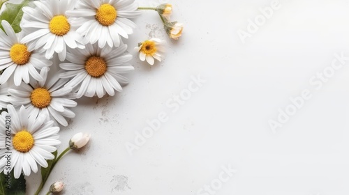 Daisy Flower Decoration on a White Background  Perfect for Wedding Design. Generative AI