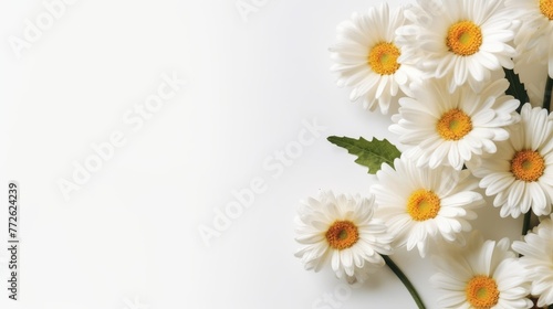 Daisy Flower Decoration on a White Background, Perfect for Wedding Design. Generative AI © wellyans