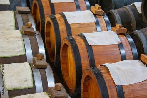 A lineup of oak barrels in a storage room, meticulously arranged for the maturation of premium olive oil, showcasing the art of preservation