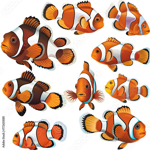 Clipart illustration featuring a various of clownfish on white background. Suitable for crafting and digital design projects.[A-0001]