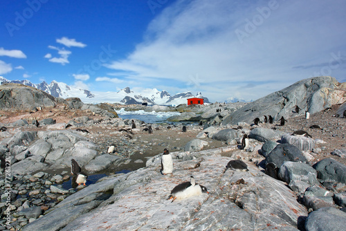 View of Petermann Island in Antarctica with the research station on the horizon photo