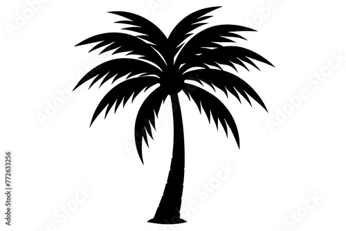 Palm Tree and Coconut Tree Silhouettes on Transparent Background