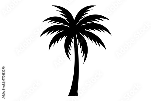 Palm Tree and Coconut Tree Silhouettes on Transparent Background
