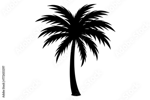 Palm Tree and Coconut Tree Silhouettes on Transparent Background