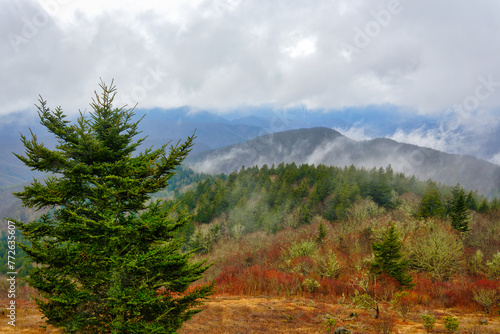 A nice cloudy landscape of mountain ridges of the Blue Ridge Parkway in Spring rain in North Carolina. © Mark Alan Howard
