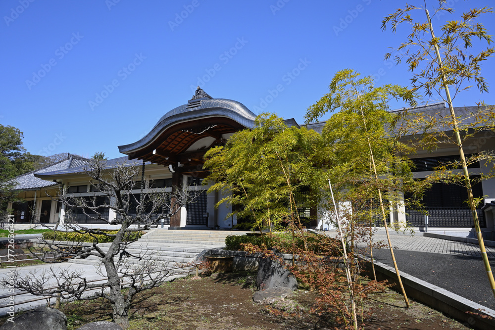 Fototapeta premium 真間山弘法寺