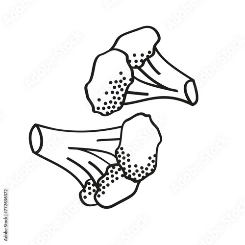 two florets of broccoli black and white linear  vector illustration