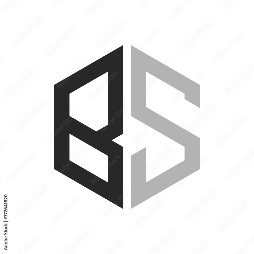 Modern Unique Hexagon Letter BS Logo Design Template. Elegant initial BS Letter Logo Concept Modern Unique Hexagon Letter BS Logo Design Template. Elegant initial BS Letter Logo Concept