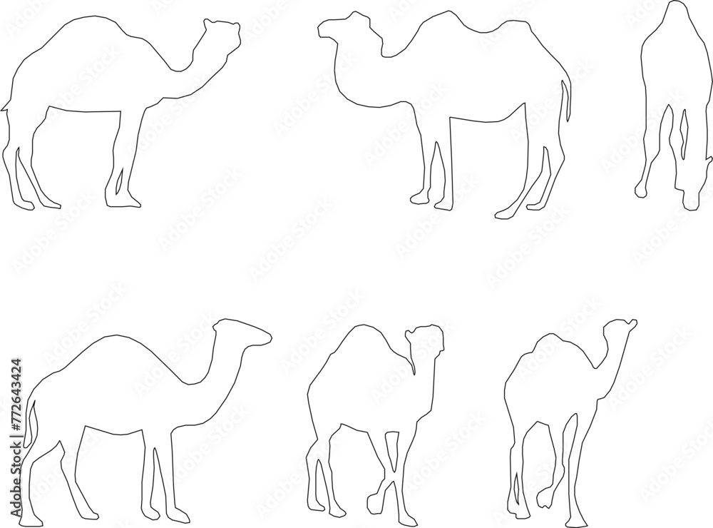 Adobe Illustrator Artwork camel desert animal vector design sketch illustration with hump Adobe Illustrator Artwork camel desert animal vector design sketch illustration with hump
