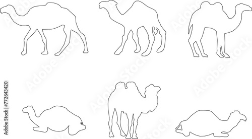 Adobe Illustrator Artwork camel desert animal vector design sketch illustration with hump