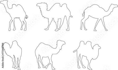 Adobe Illustrator Artwork camel desert animal vector design sketch illustration with hump