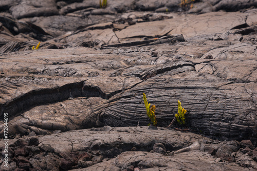 lava mauna loa