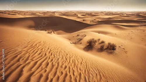 The scorching sun in the vast desert Desktop Wallpaper 