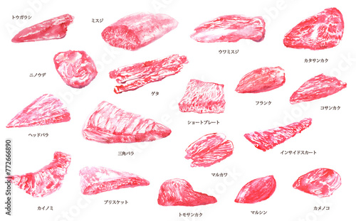 水彩で描いた牛肉の様々な部位のイラスト