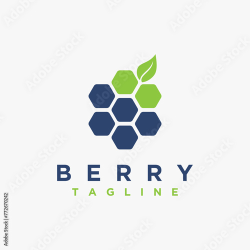 abstract fruit berry logo icon vector template on white background