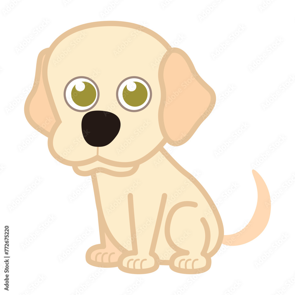 Labrador retriever Labrador retriever