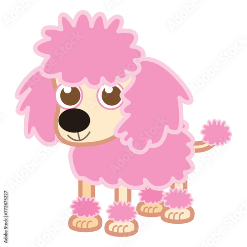 Pink poodle