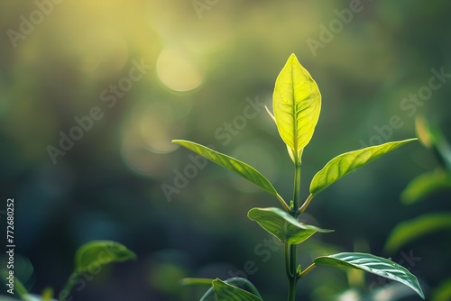 Leaf light design and blur nature seedlings lovely tea. Generative Ai