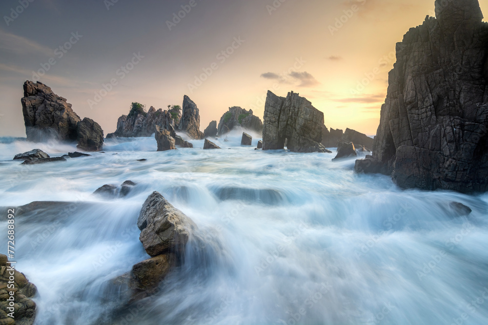 Fototapeta premium kelumbayan rhythm