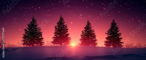 Star Trails Winter Forest Pine Trees, Background Banner HD © Alex Cuong