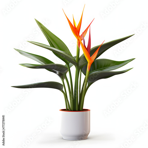 A small white pot with a plant in it sits on a white floor. The plant is a small palm tree with green leaves and orange flowers. The pot is placed on a table that is mostly white