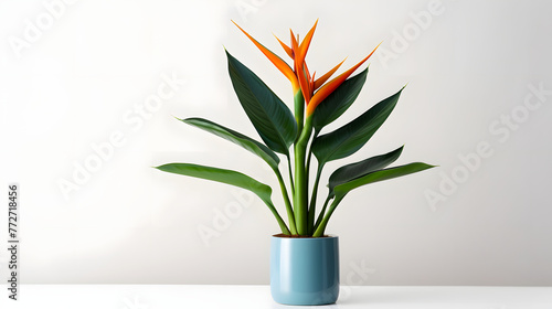 A small blue pot with a plant in it sits on a white floor. The plant is a small palm tree with green leaves and orange flowers. The pot is placed on a table that is mostly white