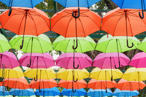 Bottom view of colorful canopy of umbrellas in a park © efired