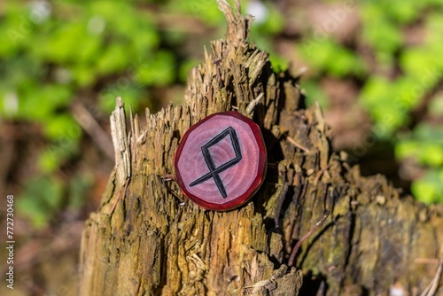 Rune Odal (Othala) carved from wood on an old stump - Elder Futhark photo