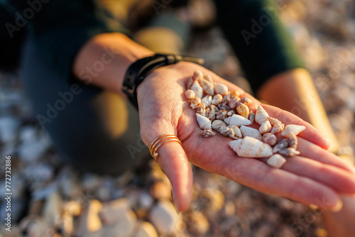 a girl sits on the beach and collects different shells. collection of shells. girl's hands with shells close-up.