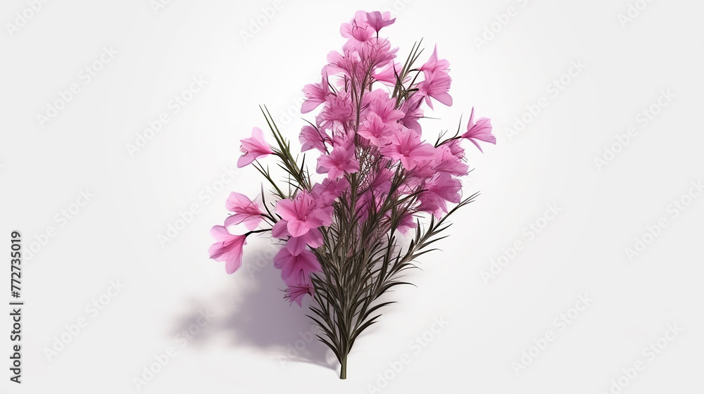 Fototapeta premium Aesthetic Floral Graphic Illustration