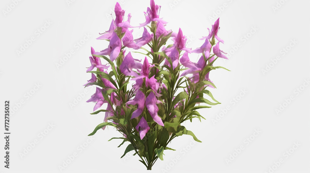 Obraz premium Aesthetic Floral Graphic Illustration