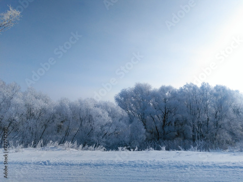 Winter beautiful landscape with trees covered with hoarfrost. © Oleksandr Masnyi