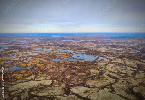 Siberian swamps in summer from a bird's eye view