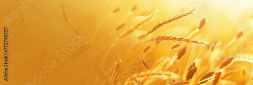 Harvest Gold Background For Graphic Design  Graphic Background HD 