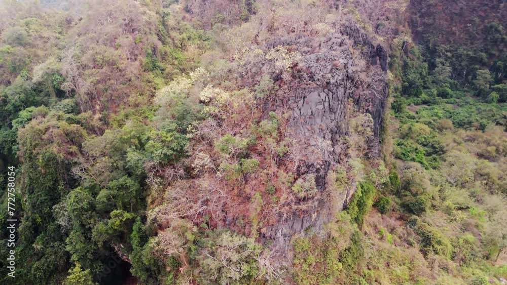 Spring brings tree blossom clinging to the cliffs, new life and colour to an otherwise dry karsts formations northern Laos, South East Asia. Spring brings tree blossom clinging to the cliffs, new life and colour to an otherwise dry karsts formations northern Laos, South East Asia.