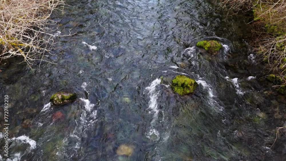 Stationary close up drone shot of Cedar River flowing pass moss rocks in Washington State Stationary close up drone shot of Cedar River flowing pass moss rocks in Washington State