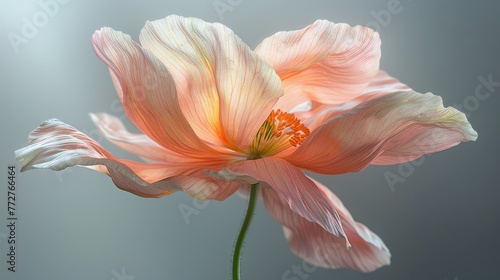   Pink flower close-up on gray background with blurred interior