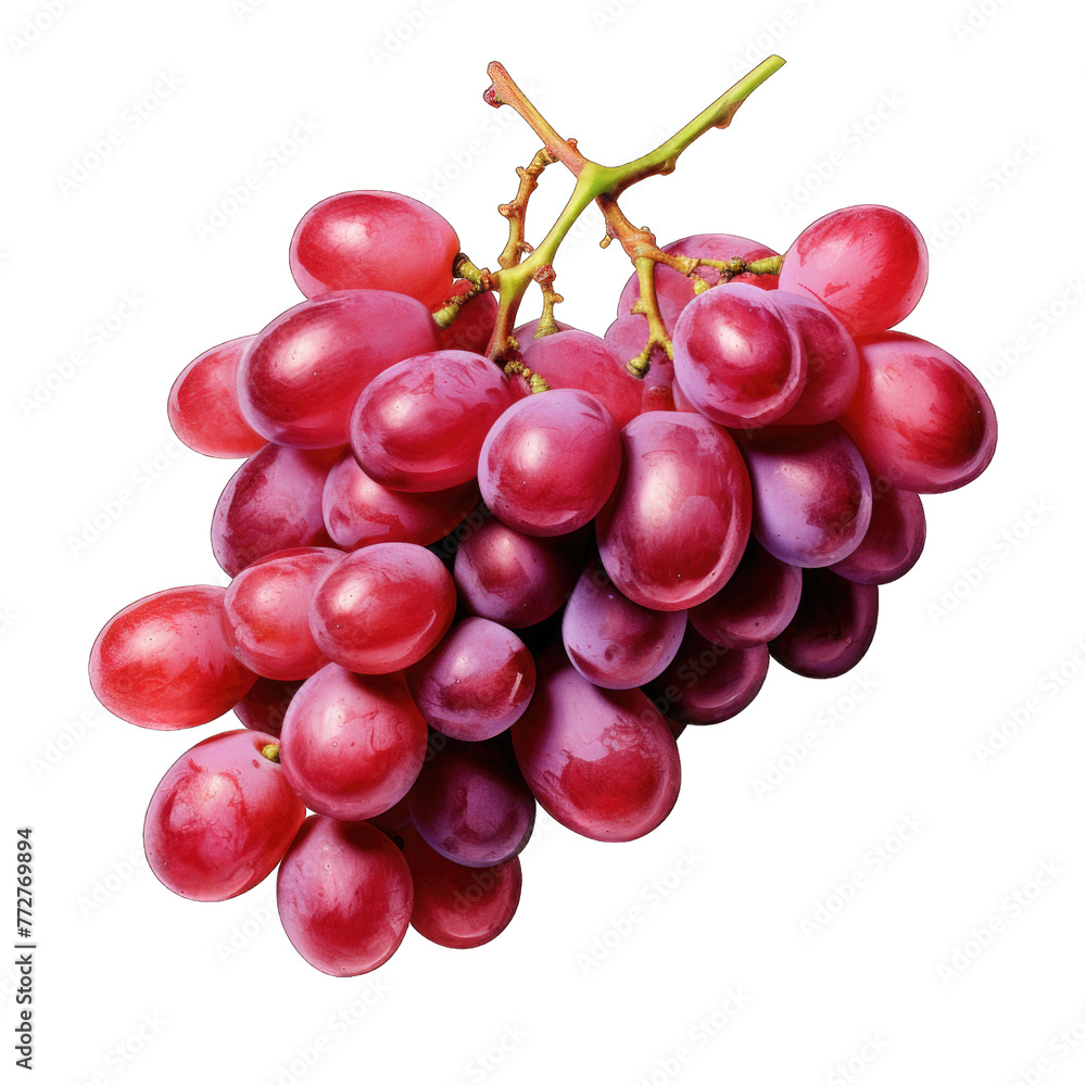 Fototapeta premium red bucket hat