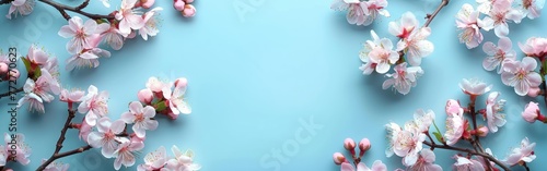 Blooming Spring Petals on Turquoise - Top View Frame, Perfect Nature Backdrop for Springtime Theme
