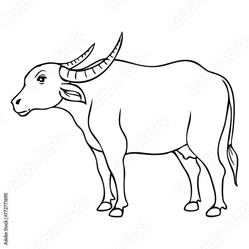 carabao outline vector illustration