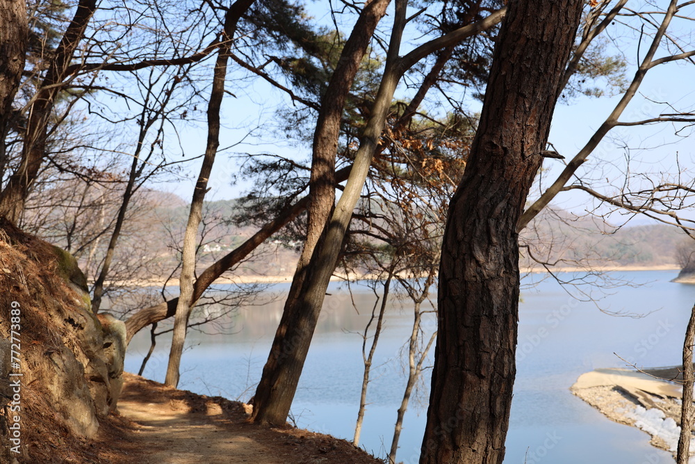 lake nature horizon autumn winter cold tranquility lake nature horizon autumn winter cold tranquility