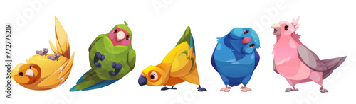 Parrot characters with beak, wing and tales with multicolored feathers standing and laying. Cartoon vector set of cute funny different colorful friendly exotic bird species. Tropical animals and pets.