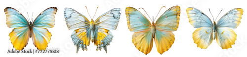 Beautiful colorful butterflies collection, isolated on transparent background.  © paulmalaianu