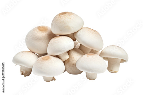 Alabaster Fungi: A Whimsical White Forest. On a Clear PNG or White Background.